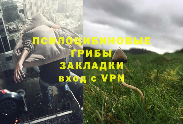 spice Волоколамск