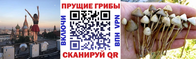 Галлюциногенные грибы мухоморы  Петропавловск-Камчатский 