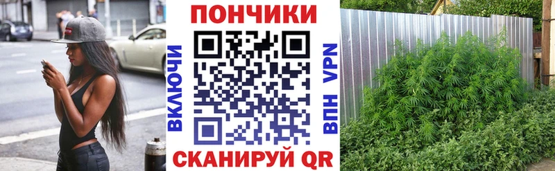 Канабис Ganja  как найти   Петропавловск-Камчатский 
